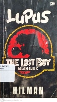 Image of The Lost Boy